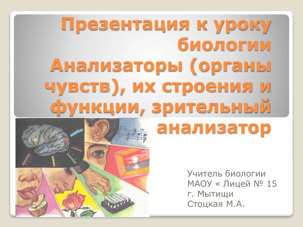 Презентация анализаторы органы чувств. Анализаторы презентация. Презентация анализаторы биология. Биология органы чувств анализаторы. Человеческие анализаторы презентация.