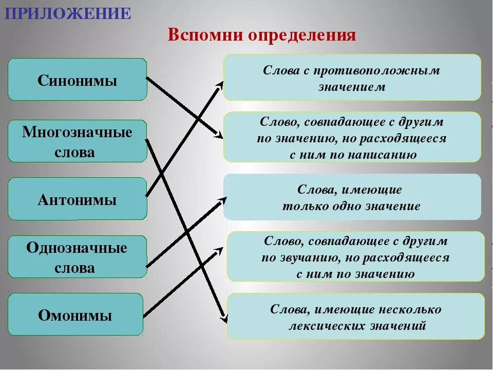 Дайте определение лексика. Лексика культура речи. Лексика культура речи 5 класс. Лексикология культура речи. Термины по теме лексика 5 класс.