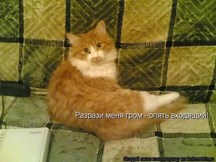 Разрази меня гром