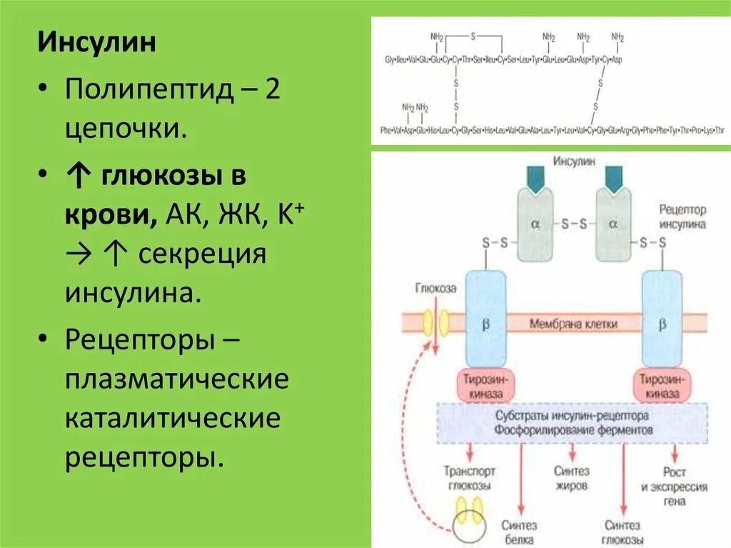 Роль субстратов