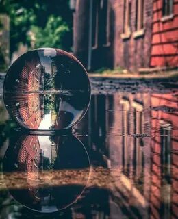 Природа в отражении искусства