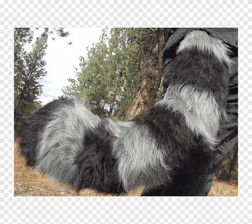 But tail