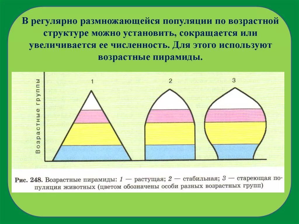 Особей в возрасте от