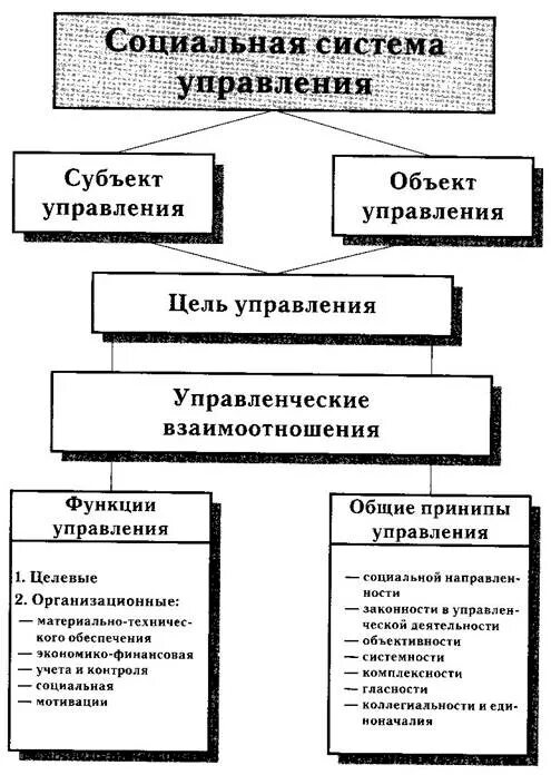 Социальное управление схема