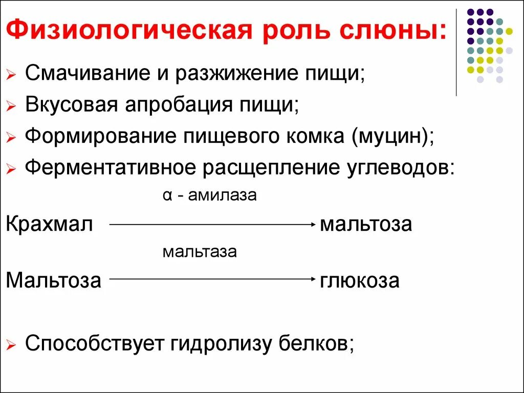 Пищеварительные ферменты слюны человека. Физиологическая роль ферментов слюны. Состав и физиологическая роль слюны. Физиологическое значение слюны. Физиологическая роль ротовой жидкости.