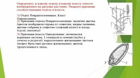Это относится к классу