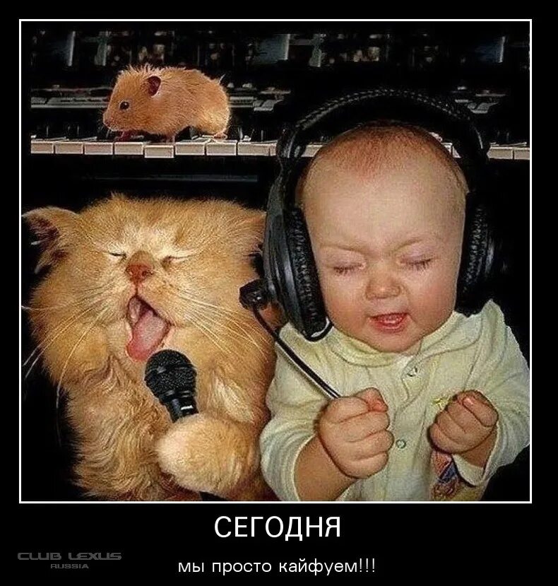 1 смешную песню
