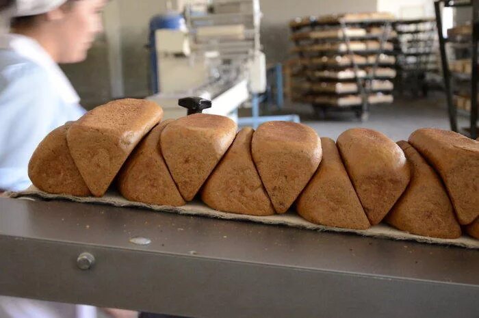 Хлеб из пекарни. Конкурент хлеба. Пекарь с хлебом. Производители хлеба. Построить хлебозаводы в израиле.
