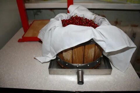 Отжать сок барнаул
