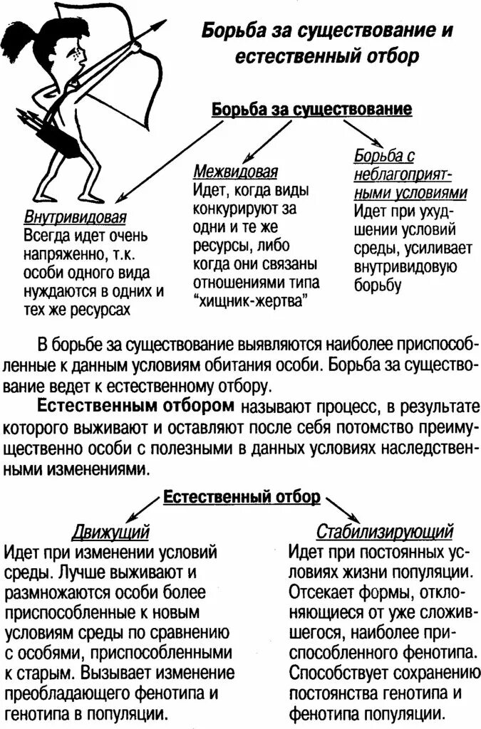 Борьба за существование и естественный отбор конспект