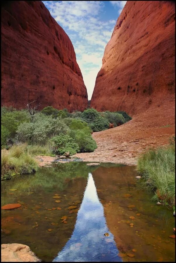 Интересные места в Австралии. Уникальные места в Австралии. Леса Тасмании. The Outback place.