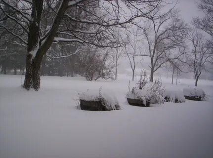Печальным снегом