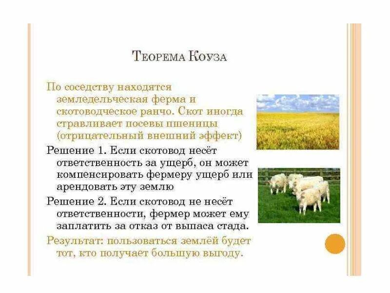 Теорема коуза внешние эффекты. Теорема коуза простыми словами. Теорема коуза простыми словами. Значение теоремы коуза. Условия теоремы коуза.