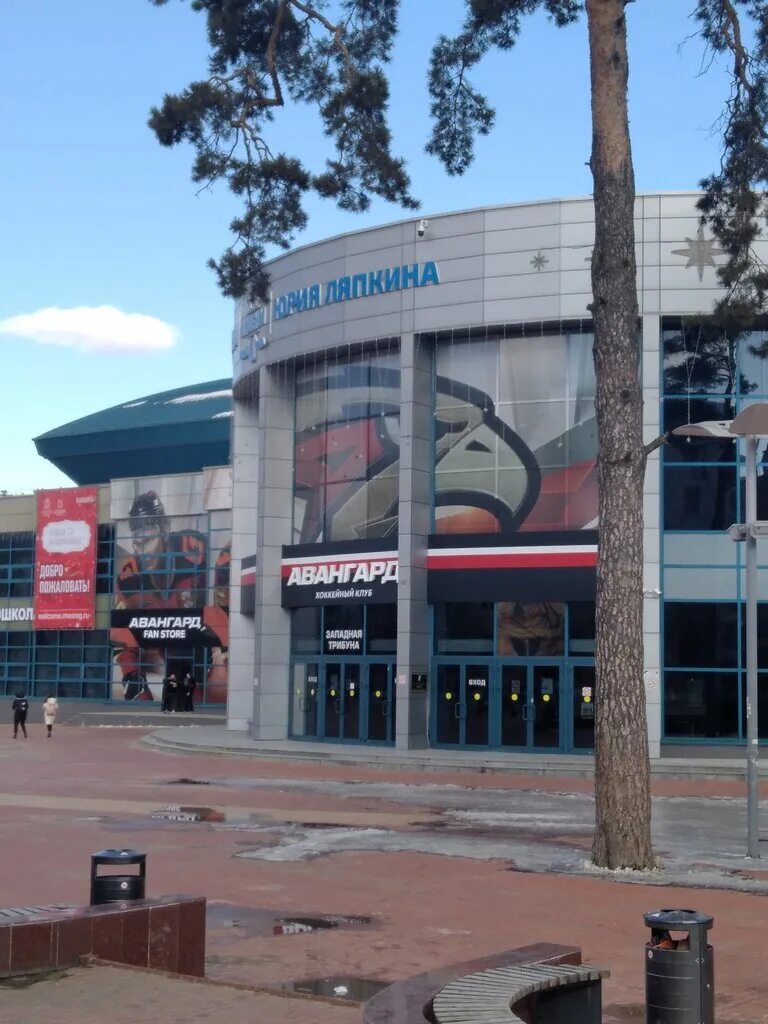 дворец ляпкина балашиха. арена ляпкина балашиха. арена балашиха адрес. ледовый дворец арена балашиха. ю.