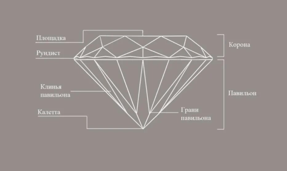 Схема огранки камня Рундист. Бриллианты фасетной огранки. Схема огранки бриллианта. В огранке Рундист.