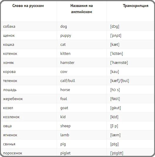 Crime транскрипция. Животные на английском с транскрипцией. Английская транскрипция. Английские слова с переводом. Транскрипция английских слов.