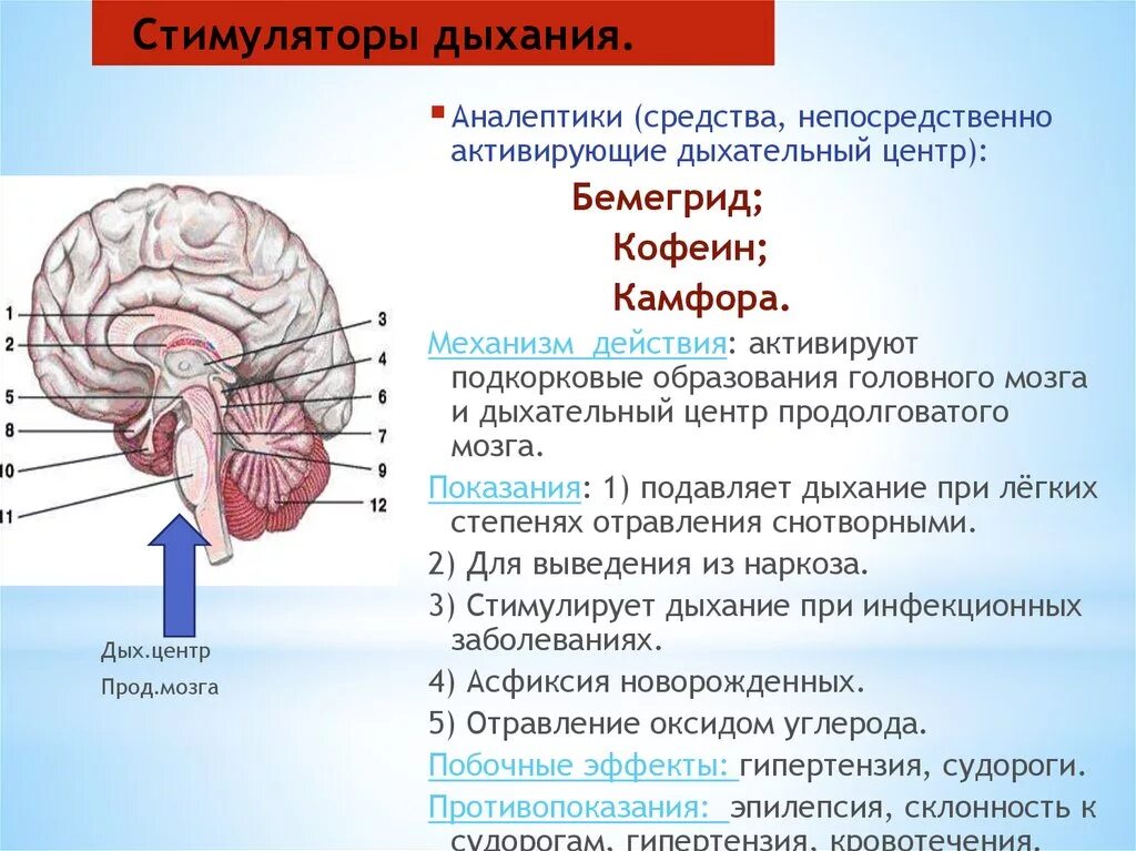 Восстановление деятельности головного мозга. Стимуляторы дыхательного центра продолговатого мозга:. Стимулятор дыхательного центра. Стимуляция дыхательного центра препараты. Аналептики стимуляторы дыхания.