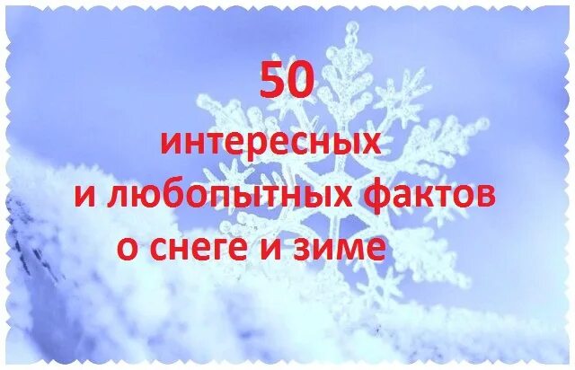 Интересные факты о произведении зима. Интересные факты о зиме. Интересная информация о снежинках для детей. Интересные факты о снеге. Интересные факты о зиме.
