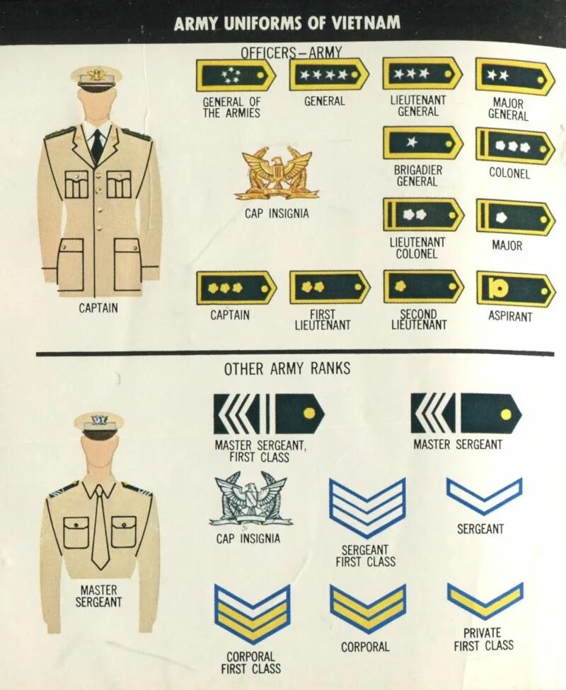 Us ranks. Us Army Ranks and Insignia. Master Sergeant Insignia. Military Rank Insignia. Знаки различия военнослужащих США.