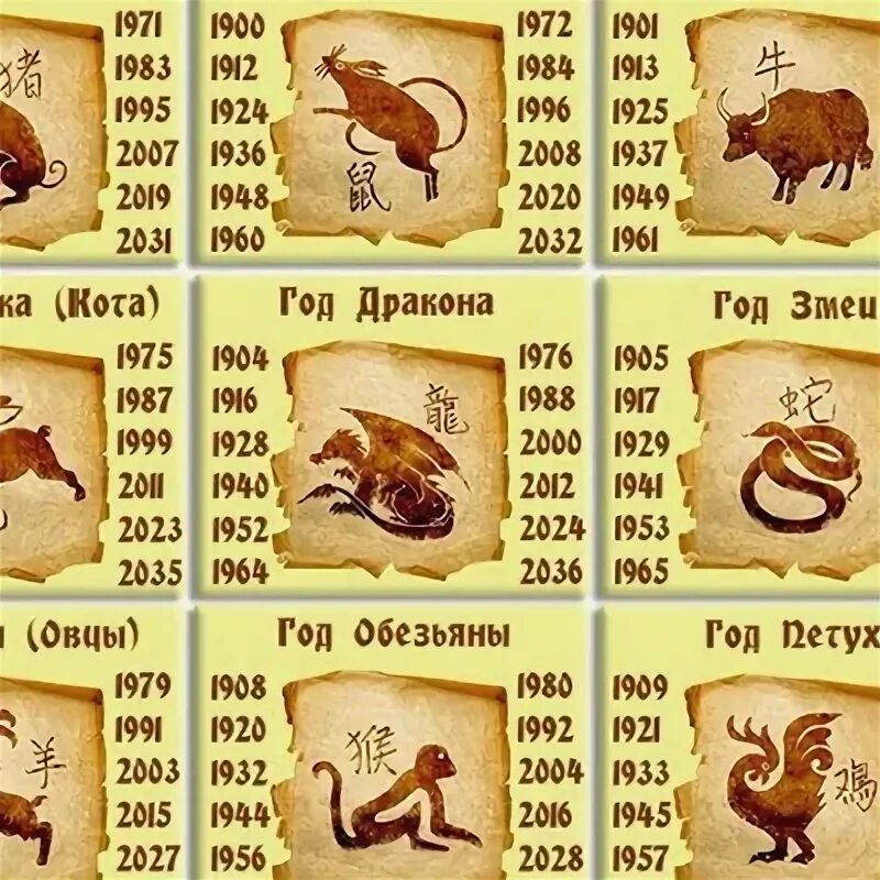 Животные восточного календаря по порядку годам список Your Chinese Horoscope! IDENTITY MAGAZINE Horoscope chinois, Astrologie chinoi