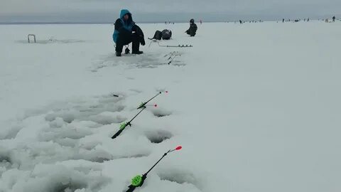 Ловить заливы