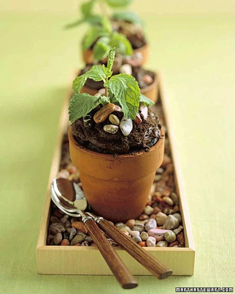 шоколадные горшочки. пирожное цветочный горшок. шоколадные горшочки с цветами. шоколадные горшочки. горшочки из шоколада с цветами.