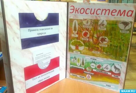 Лэпбук озеро