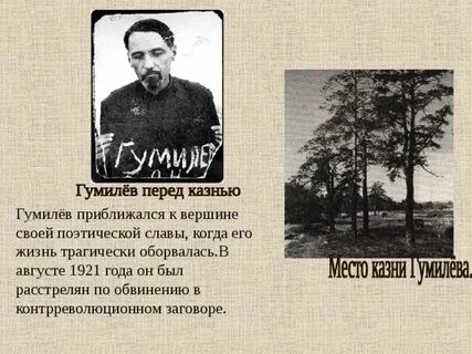 Почему гумилев
