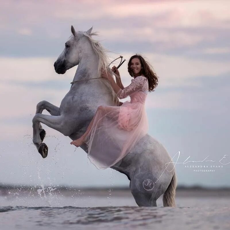 Танцующие лошади. Лошадь танцует. Танец с лошадью. Девушка танцует с лошадью.