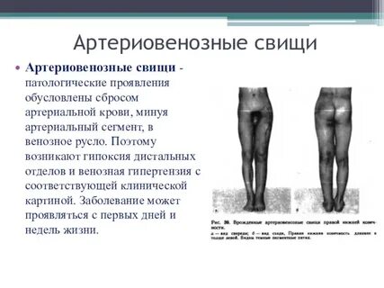 Үлкен мүшесі бар ит стиліндегі секс