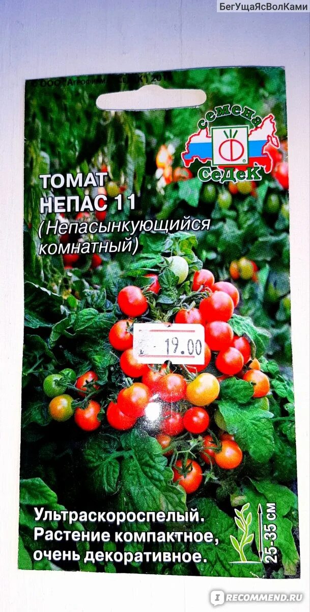Томат сорт непас отзывы. Томат непас 9. непас 12 сорт помидор. томат непас 11. томат непас 14.
