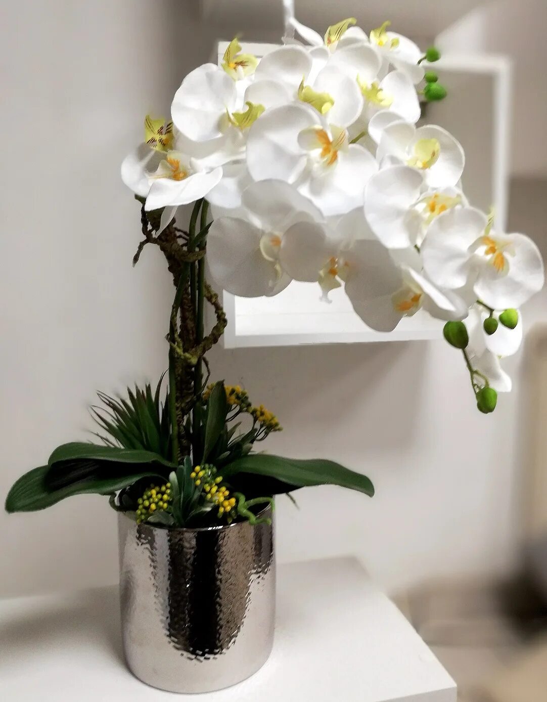 Купить цветы орхидеи в горшке. Орхидея фаленопсис Монте Карло. Орхидея фаленопсис Sacramento. Фаленопсис Жемчужина императора. Фаленопсис Monte Carlo.