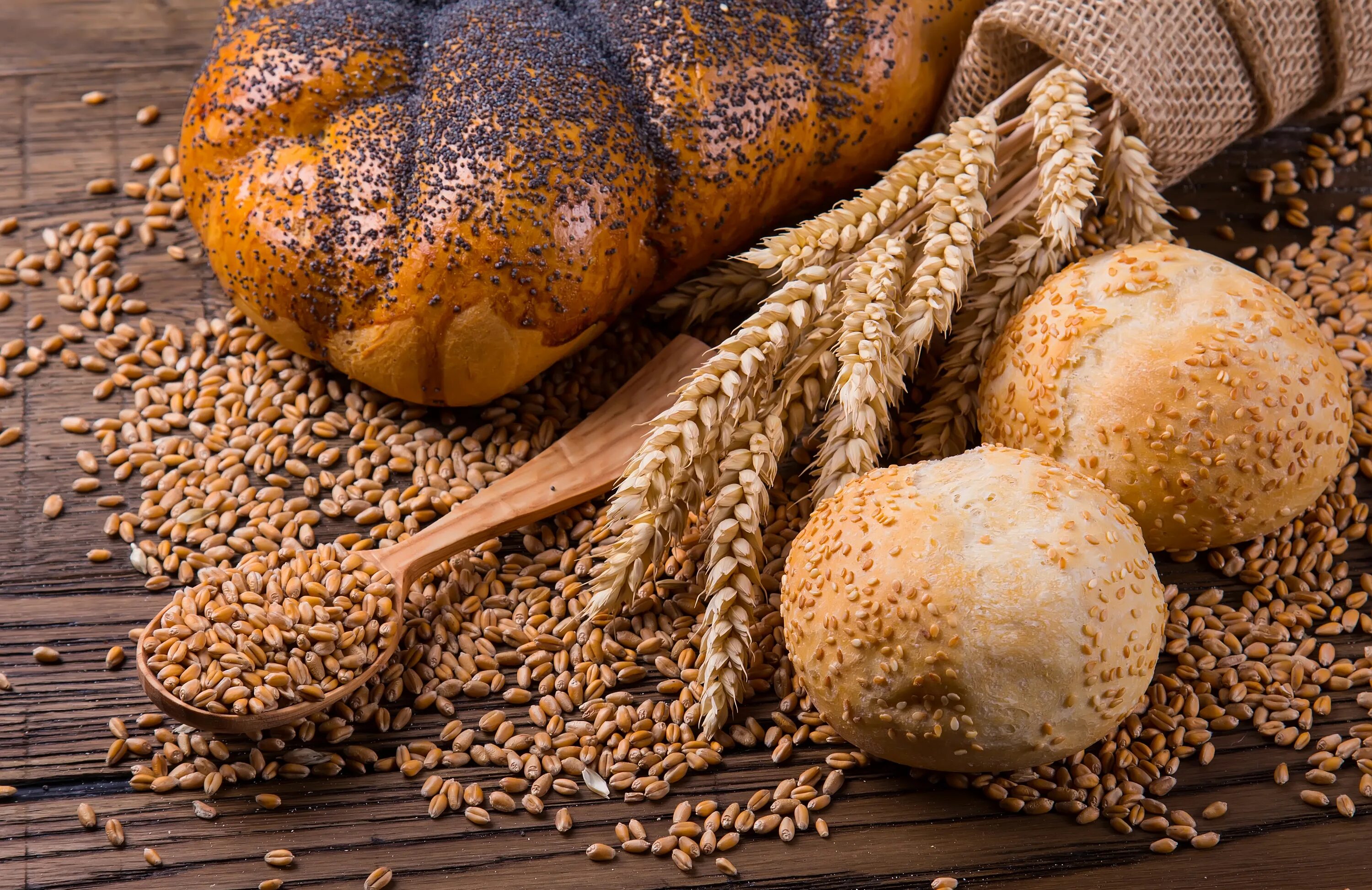 Bread wheat