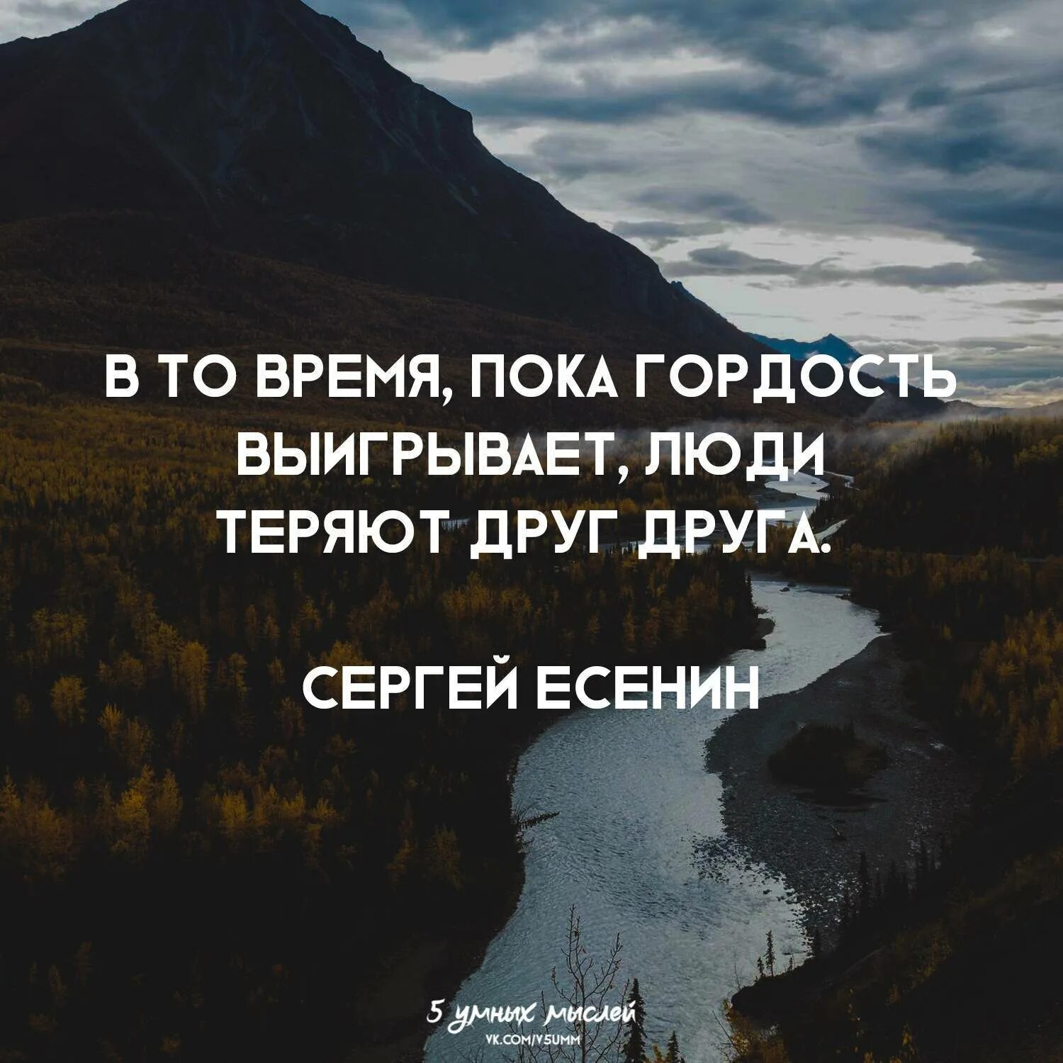 В ближайшее время это когда. Цитаты про гордость. Афоризмы про гордость. Покпока гордость выигрывает. Гордая высказывания.