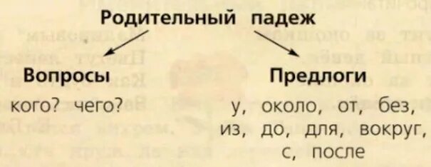 Мы в родительном падеже. Родительный падеж. Родительный падеж 3 класс презентация. Родительный падеж 3 класс. Родительный падеж существительных 3 класс.