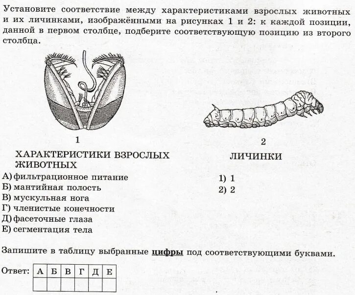 Биоробот егэ биология задания. Задания по зоологии. Тестовые задания по зоологии. Зоология ЕГЭ задания. Интересные вопросы ЕГЭ по биологии.