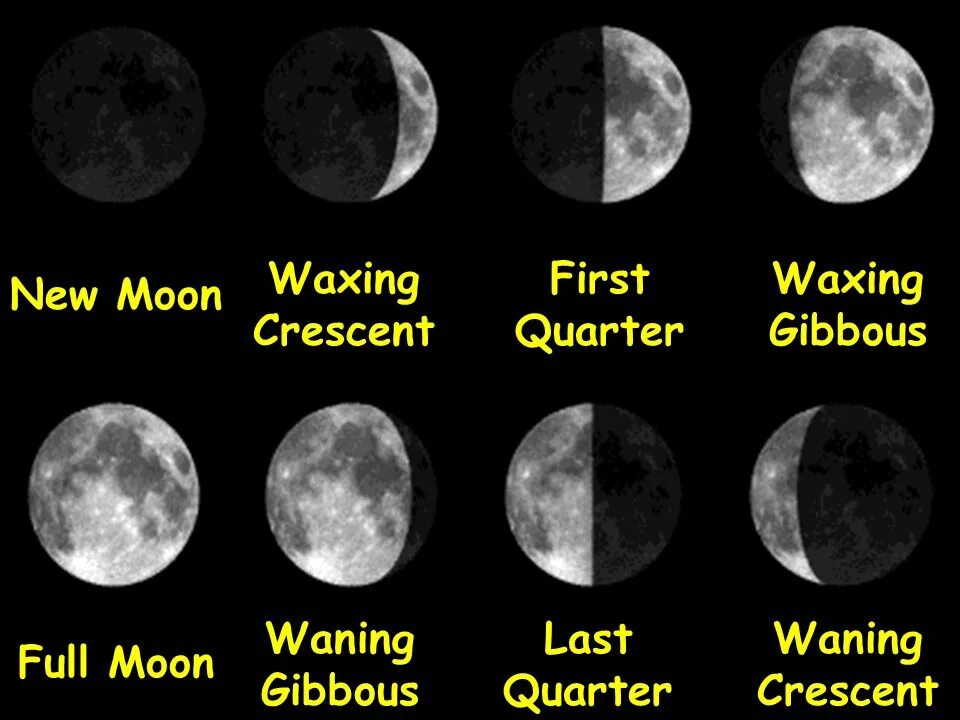 Фаза Луны Waxing Crescent Moon. First Quarter Луна. Waning Gibbous. Фазы Луны на английском.