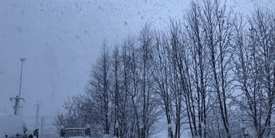 Сильная метель. Снегопад в Мурманской области. Ночной снегопад. Снегопад метель.