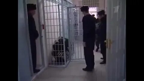 Почему черный дельфин