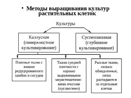 Методы культивирования