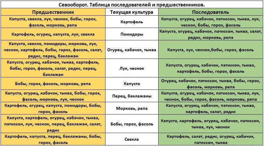 Южное соседство. Посадка овощей предшественники таблица. Лучшие предшественники для посадки овощей таблица. Таблица предшественников в севообороте. Севооборот овощей в огороде таблица.