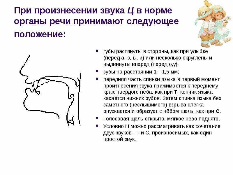 Характеристика артикуляции. Артикуляционный профиль свистящих звуков. Профили артикуляции свистящих звуков ц. Профили артикуляции гласных звуков при ринолалии. Правильная артикуляция при произнесении звука с.