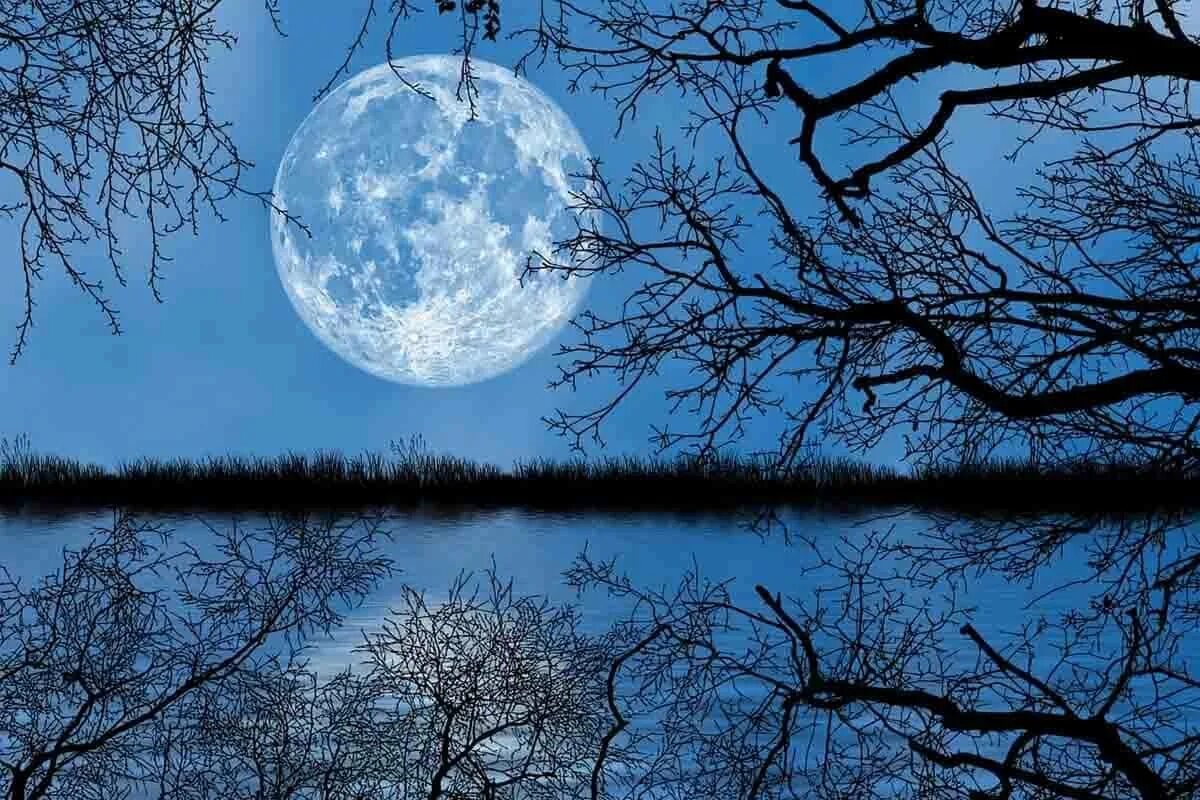 Красивая Луна. Полнолуние. Отражение Луны. Отражение Луны в воде.