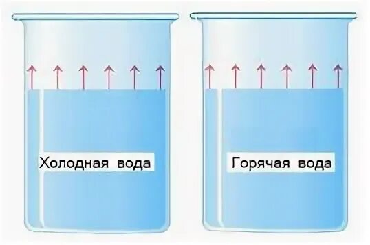 В холодной или теплой воде