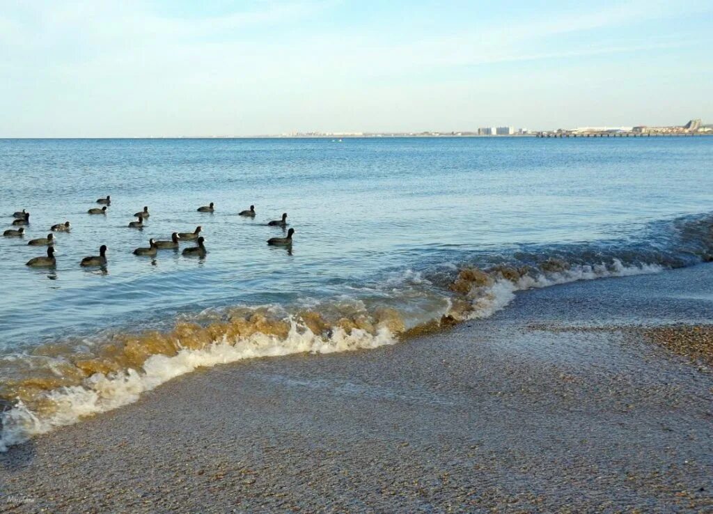 Погода морское на 3 дня. Погода в Анапе. Анапа в феврале. Анапа февраль вечер. Погода в Анапе картинки.