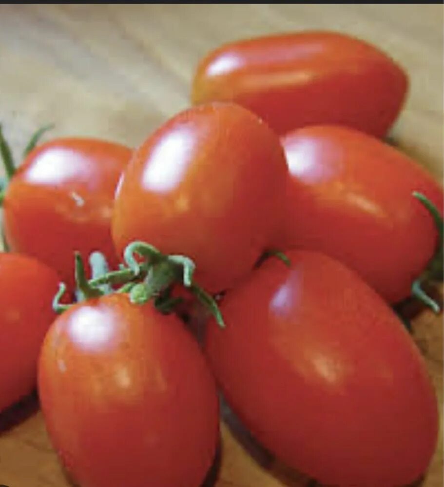 Какие сорт п. Прунакс томат. Помидоры засолочные. Томат Гуальдино f1. Засолочные сорта томатов.