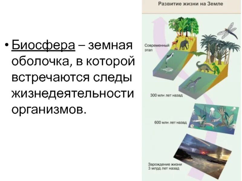 Конспект биосфера оболочка жизни. Презентация Биосфера земная оболочка. Презентация на тему Биосфера земная оболочка 6 класс по географии. Биосфера презентация география. Биосфера Живая оболочка земли 6 класс география.