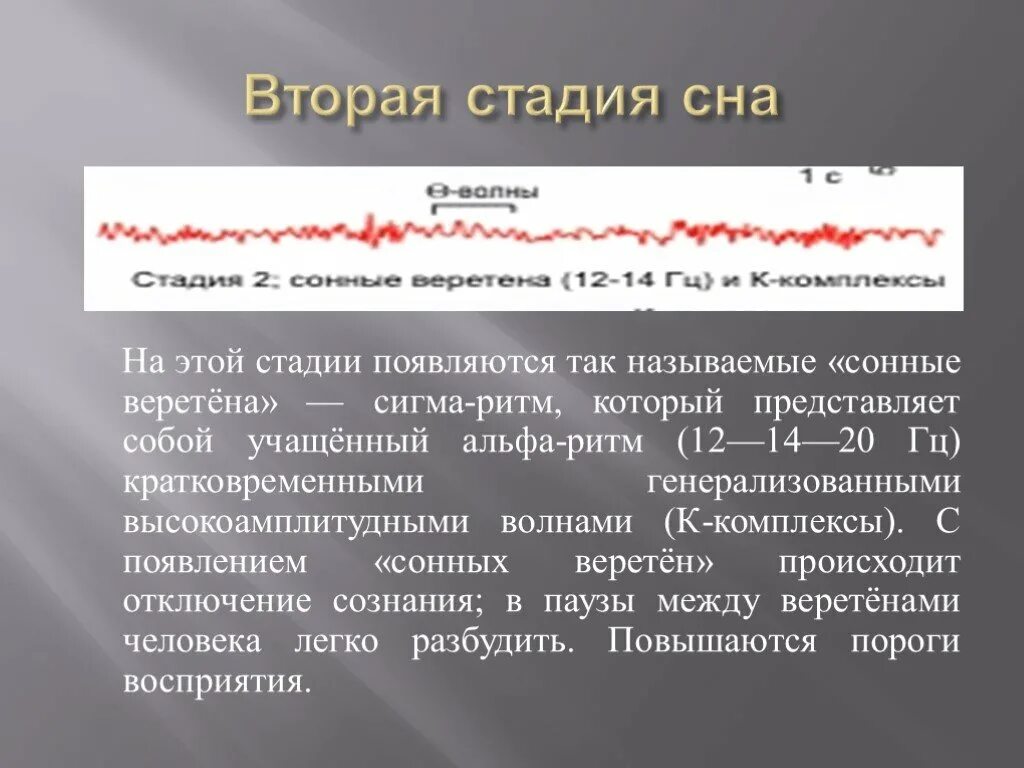 Что значит 2 фаза. Фазы сна физиология. Медленный сон физиология. 2 Фазы сна. Стадия сонных веретен.