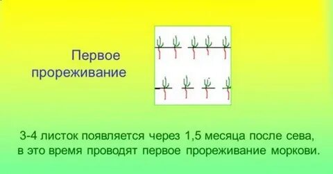 Прореживание
