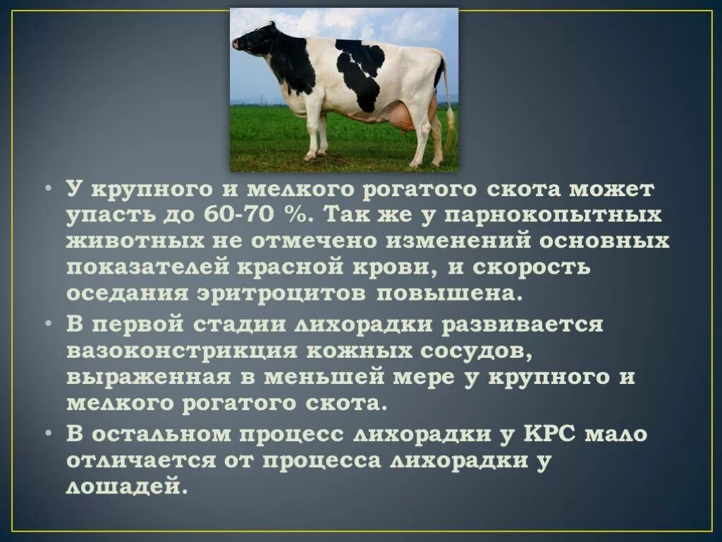 Можно ли считать крупный рогатый скот промежуточным. Разведение крупного рогатого скота. Сообщение о рогатом скоте. Мелкий рогатый скот. Сообщение про крупно рогатый скот.